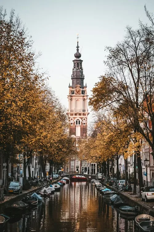 Zuiderkerk tower framed by autumn trees over an Amsterdam canal